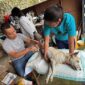 Komunitas Sukabumi Dog Lover. l Istimewa