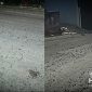Jalan Cemerlang banyak kerikil. l Istimewa