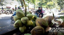 Penjual es kelapa muda di Palabuhanratu. l sukabumiheadlines.com