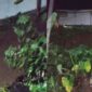 Bencana tanah longsor di Desa Kalaparea. l Istimewa