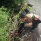 Tebing longsor di Caringin. l Istimewa