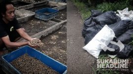 Budi daya maggot di Ciseupan, Sukabumi. l Istimewa