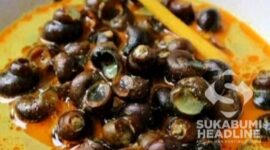 Tutut atau keong sawah yang sudah dimasak. l Istimewa
