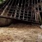 Rumah terendam banjir di Ciemas Sukabumi. l Istimewa