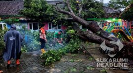 Pohon tumbang menimpa bangunan TK di Nagrak Sukabumi. l Istimewa
