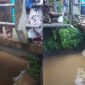 Kondisi sungai. l Istimewa 