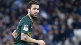 Cesc Fabregas. l Istimewa