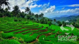 Sawah terasering di Cicadas. l Hidayat Asep