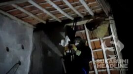 Evakuasi sarang tawon di Nagrak Sukabumi. l Istimewa