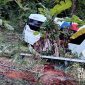 Lakalantas maut di Ciemas Sukabumi. l Istimewa