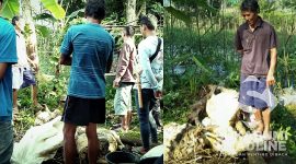 Warga sedang memeriksa 7 ekor domba mati dan ditinggalkan maling. l Dayat