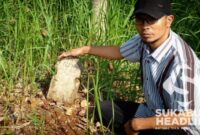 Makam berusia ratusan tahun di Cipetir, Sukabumi. l Iwa Kartiwa