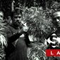 Penemuan ladang ganja di Cianjur. l Istimewa