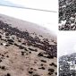 Sampah batubara Kotori Pantai Palabuhanratu. l Istimewa 