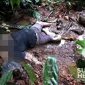 Penemuan mayat di Gegerbitung. l Istimewa 