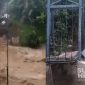 Jembatan penyeberangan ambruk diterjang luapan Sungai Cigadung. l Istimewa 