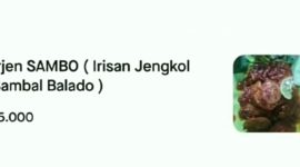 Menu Irisan Jengkol Sambal Balado. l Istimewa
