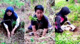 Memperingati Hari Pahlawan dengan kegiatan menanam pohon. l Paguris