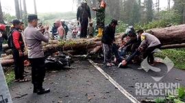 Evakuasi korban tertimpa pohon di Cikidang, Kabupaten Sukabumi. l Reki Gemaramadhan