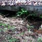 Bencana tanah longsor di Nagrak Sukabumi. l Istimewa