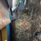 Kelompok Karya Tirta Kerey Bambu di Citamiang Sukabumi. l Istimewa