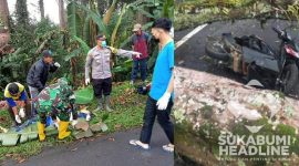 Herman, korban tewas tertimpa pohon di Cikidang Sukabumi. l Istimewa