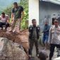 Lokasi warga tewas tertimpa batu di Simpenan Sukabumi. l Istimewa