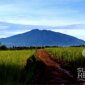 Memandang Gunung Gede Pangrango dari Vila Kaca. l Ugi Prananda