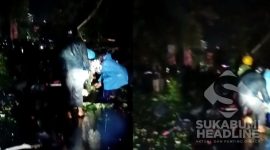 Pohon tumbang di tebing kawasan Palagan Bojongkokosan Parungkuda. l Istimewa