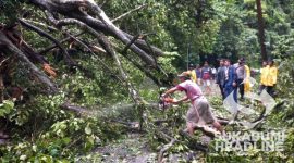 Pohon karet tumbang melintang jalan di Palabuhanratu. l Istimewa