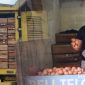 Pengusaha telur ayam asal Parungkuda, Imam Luzaini. l Istimewa