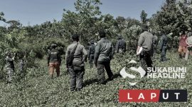 Suaka margasatwa. l Istimewa