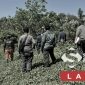 Suaka margasatwa. l Istimewa