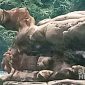 Batu Karang Kontol di Ciemas, Kabupaten Sukabumi. l sukabumiheadline.com