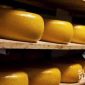 Keju gouda dari Sukabumi. l Istimewa