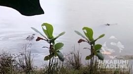 Warga merekam kemunculan buaya di Situ Kalapa, Surade, Kabupaten Sukabumi. l Istimewa