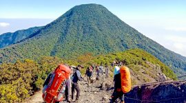 Gunung Gede - Istimewa