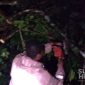Pohon tumbang melintang jalan di Palabuhanratu. l Istimewa