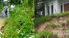 Longsor tebing di Bantargadung. l Daniel Al Imron