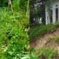 Longsor tebing di Bantargadung. l Daniel Al Imron