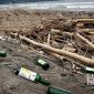Botol miras berserakan di Pantai Citepus, Sukabumi. l Istimewa