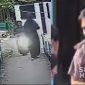 Tangkapan layar SI sat melakukan aksi begal pantat. l Istimewa