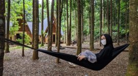 Hutan Damar di Kadudampit, Kabupaten Sukabumi. l Istimewa