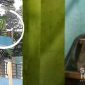Monyet liar menyerbu permukiman warga di Cicurug Sukabumi. l Istimewa