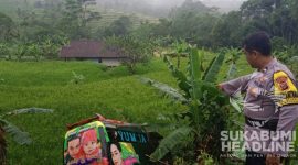 Elf masuk jurang di Waluran Sukabumi. l Istimewa 