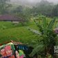Elf masuk jurang di Waluran Sukabumi. l Istimewa 