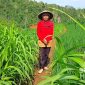 Warga Desa Waluran Mandiri. l Desa Wisata Hanjeli