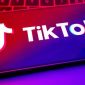 Ilustrasi pengguna TikTok. l Istimewa