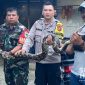 Sanca kembang dievakuasi petugas dariu sekitar pabrik tahun di Gunungguruh, Sukabumi. l Ahmad Fikri