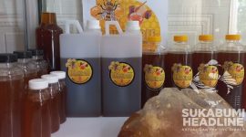 Madu hutan asli Pajampangan, Alhanif-bee. l Istimewa